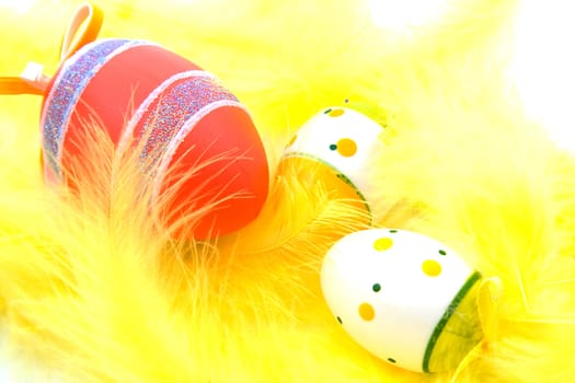 couple of Easter eggs and yellow feathers in closeup
