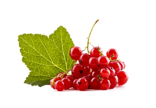 Fresh red currants isolated on white background, fruits