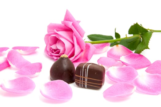 pink rose and leaves with chocolate bonbons for Valentine's day over white background