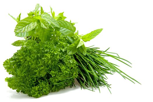 Plants of fresh herbst isolated on white background