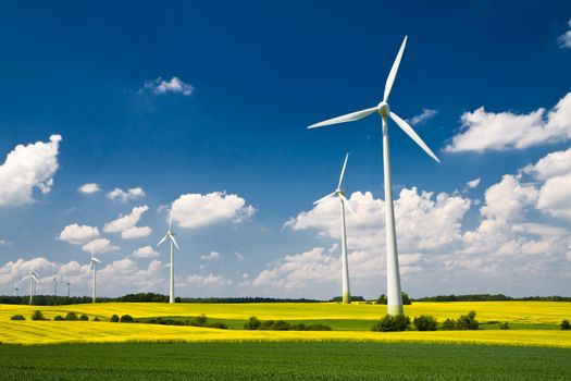 Windmills in the fields of yellow rape, renewable energy generators