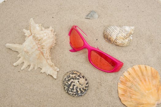 Pink sunglasses on the beach with shells