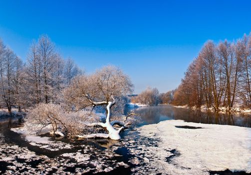 trees with frost on winter river