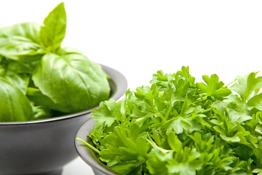 black bowls with basil and parsley in closeup over white background