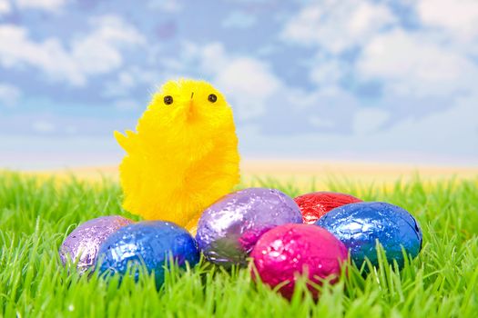 colorful chocolate easter egg with little yellow chicken on grass over cloudy sky