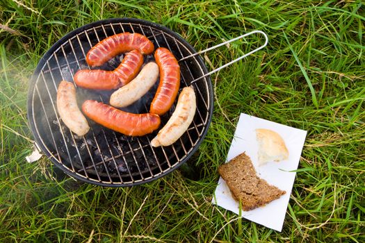 Grilled sausages, barbecue on green grass