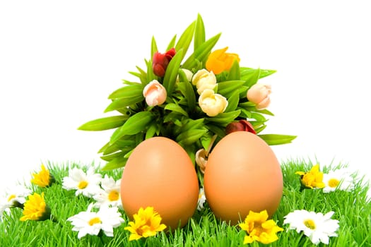 Two brown chicken eggs on grass with colorful flowers, over white background
