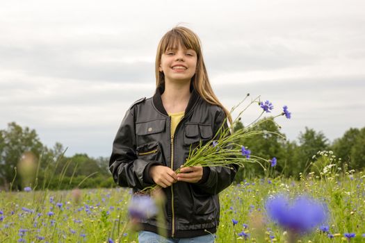 young girl in wild cornflower field