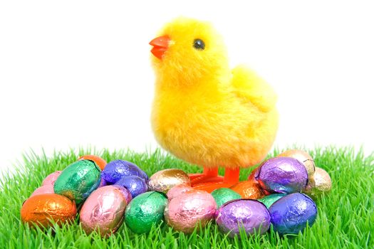 colorful chocolate easter eggs with yellow little chicken on grass over white background