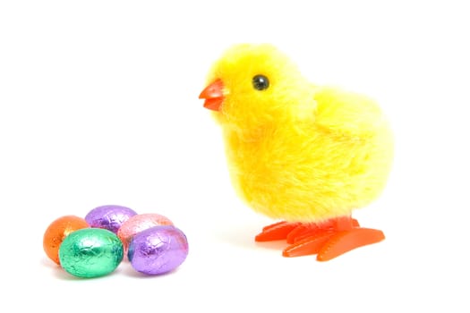 colorful chocolate easter eggs with yellow little chicken over white background