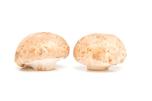 Two fresh chestnut mushrooms isolated on white background
