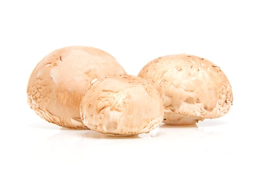 Three fresh chestnut mushrooms isolated on white background