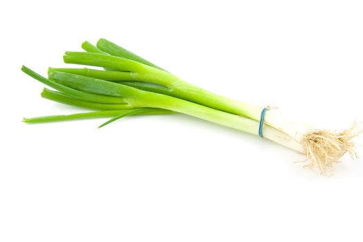 Bunch of fresh spring onions isolated on white background