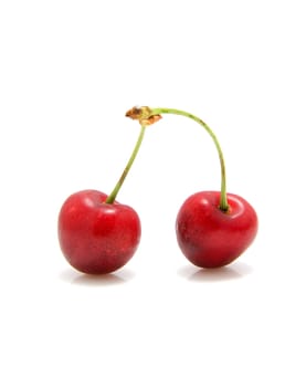 Two fresh red cherries over white background