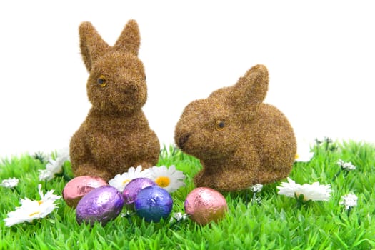 White little daisy flowers with easter eggs and brown bunnies on grass over white background