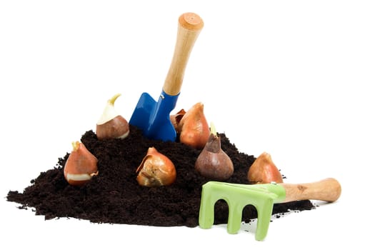 gardening tools, flower bulbs and pile of garden soil over white background