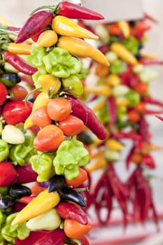 collection of different colorful spicy healthy pepper on market