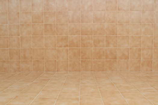 glossy ornamental stone tiled wall and floor in spacious bath room