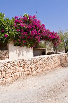 mediterranean brick entrance garden with pink flowers in summer
