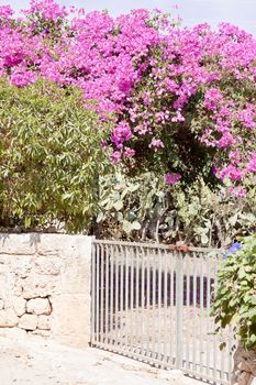 mediterranean brick entrance garden with pink flowers in summer