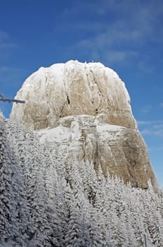 White giant rock in Romanian Carpathians
