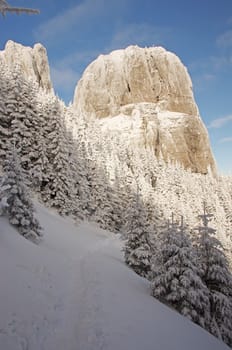 White landscape in Romanian Carpathians