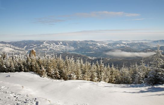 Snowy landscape, fir trees forest and the lake behind