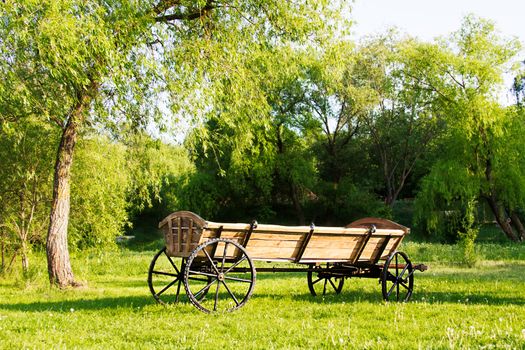 Lonely cart among green grass landscape