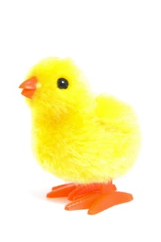 Little yellow easter chicken over white background