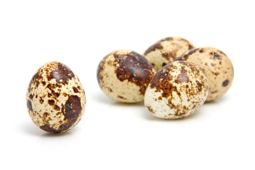 Some eggs from peewit bird ( Vanellus Vanellus) over white background