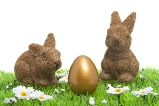brown bunnies on grass with little white daisy and golden egg