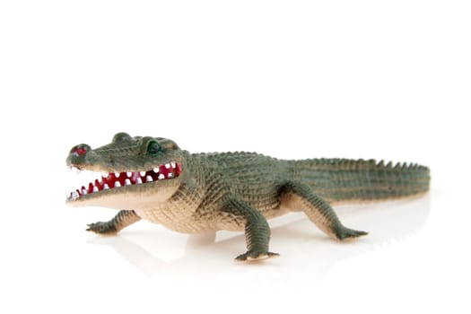 plastic crocodile toy isolated on white background