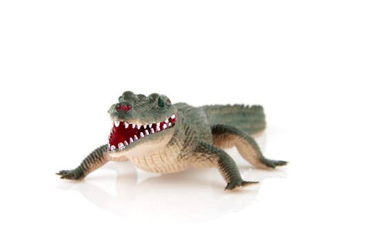 plastic crocodile toy isolated on white background