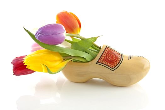 traditional yellow wooden shoe with colorful tulips isolated on white background