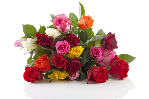 Bouquet of colorful roses lie over white background