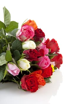 Bouquet of colorful roses lie over white background
