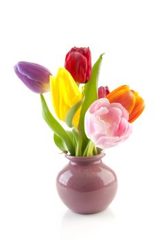 Colorful Dutch tulips in vase over white background
