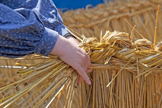 womans hand is reed weaving in closeup