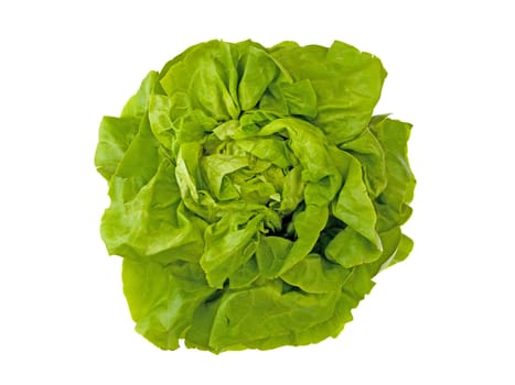 Fresh green salad isolated on white background