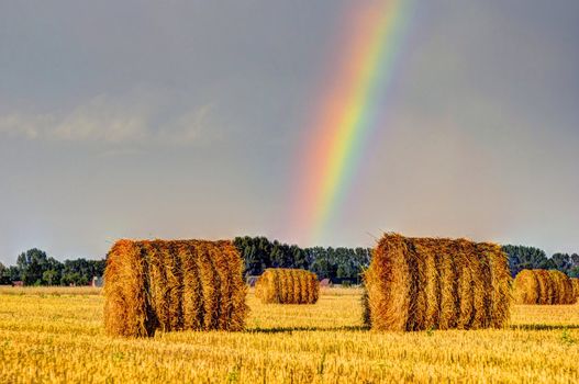 This photo present Rainbow over the stubble.