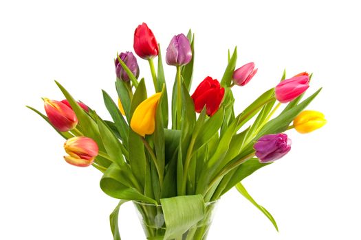Bouquet of colorful Dutch tulips over white background