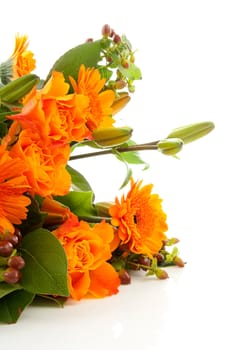 Bouquet of orange flowers over white background