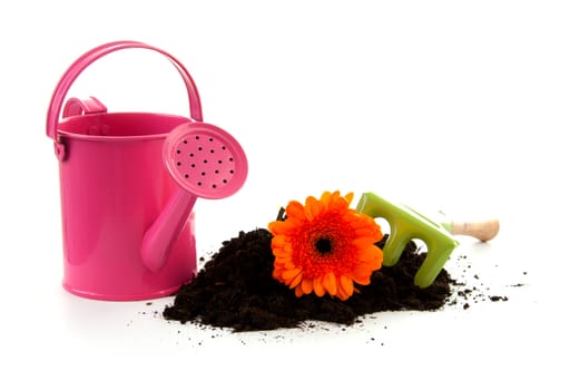 Colorful gardening tools and pile of black sand over white background