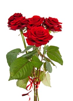 Bouquet of red roses with ribbon isolated on white background