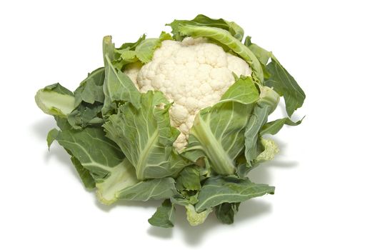 fresh dutch Cauliflower isolated on white background