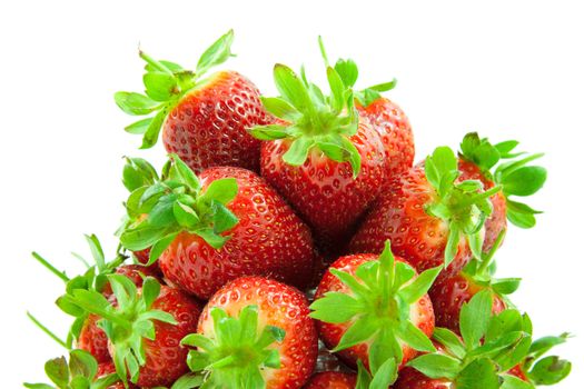Lots of strawberry piled up over white background