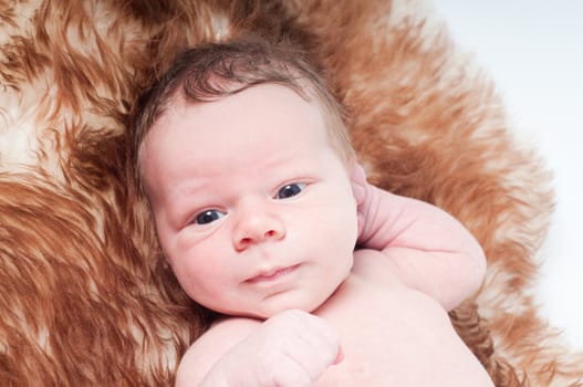 Shot of newborn baby lying on fur