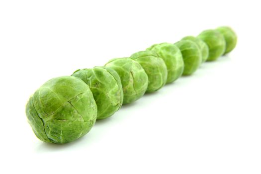 Brussels sprouts in a row over white background