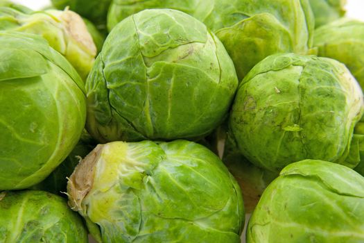 Brussels sprouts in closeup can be used as background