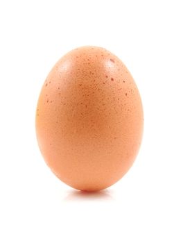 One brown chicken egg standing straight up over white background